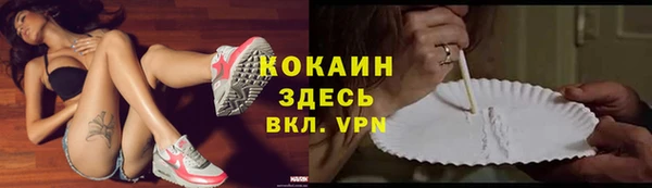 PSILOCYBIN Аркадак