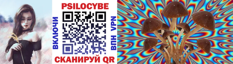 Псилоцибиновые грибы MAGIC MUSHROOMS Советский